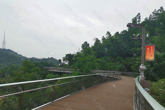 LED燈桿屏 智慧路燈屏.jpg LED燈桿屏 智慧路燈屏.jpg